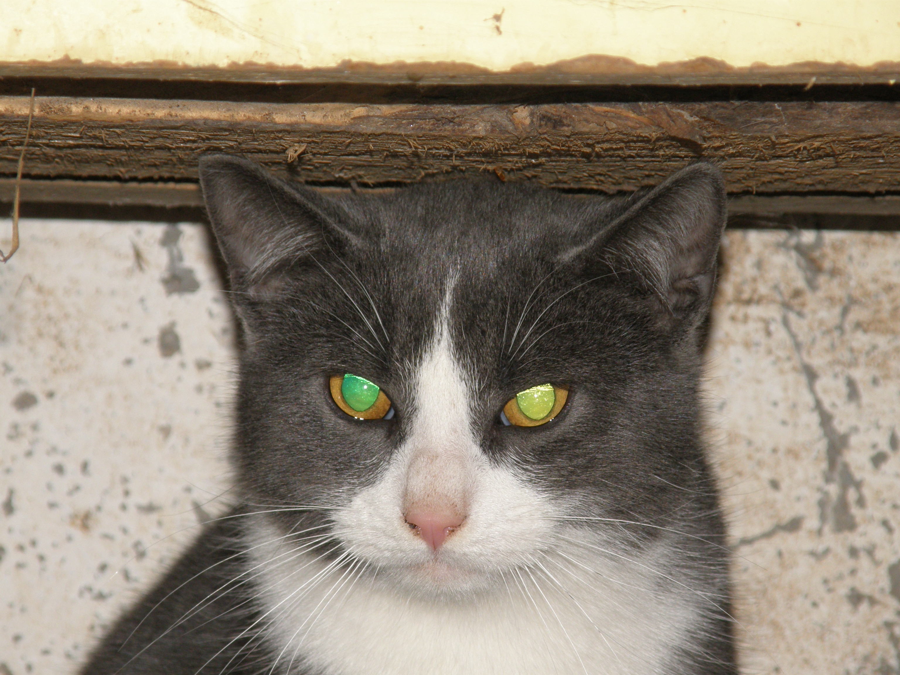 PC240201.JPG