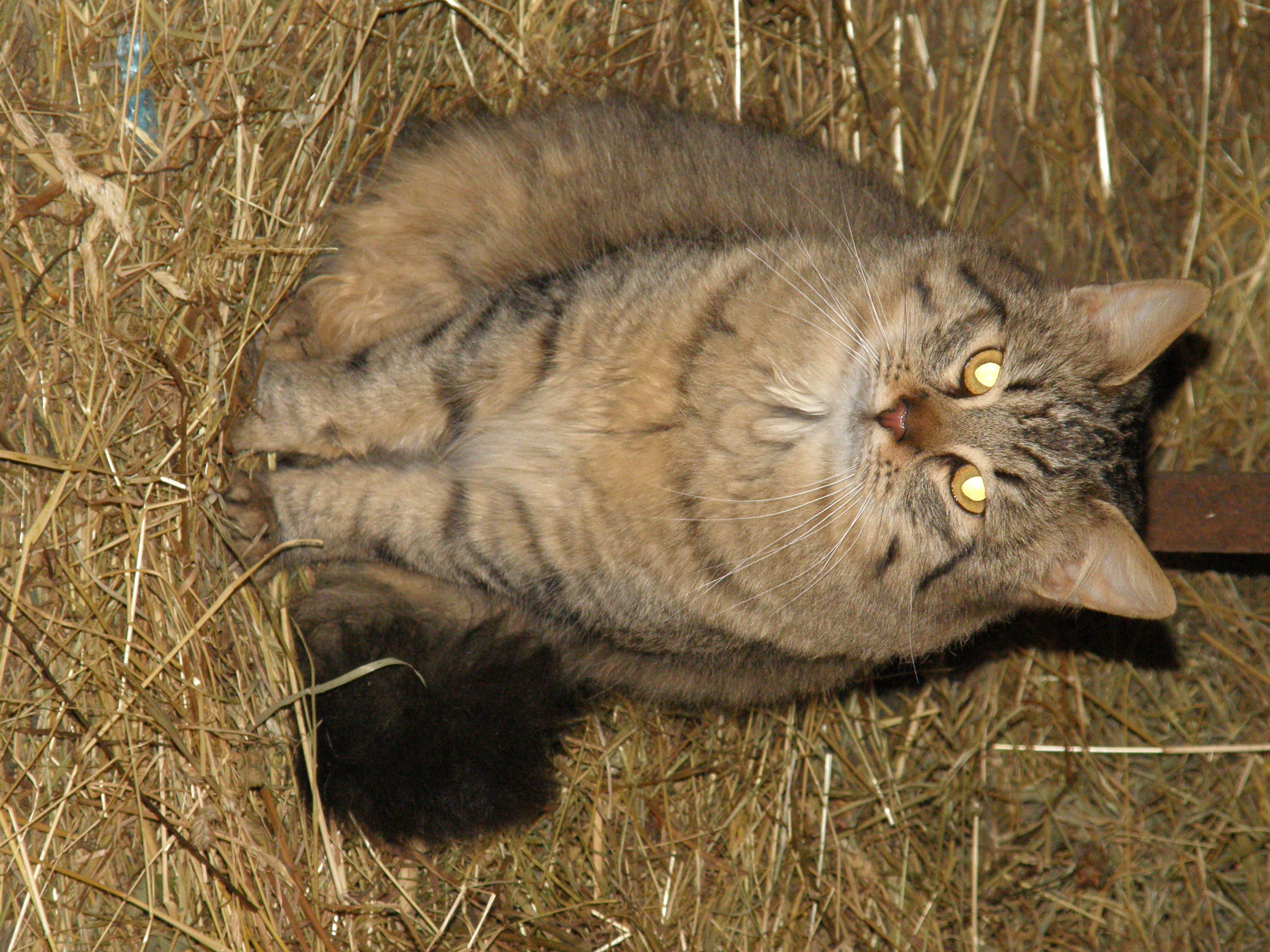 PC240212.JPG