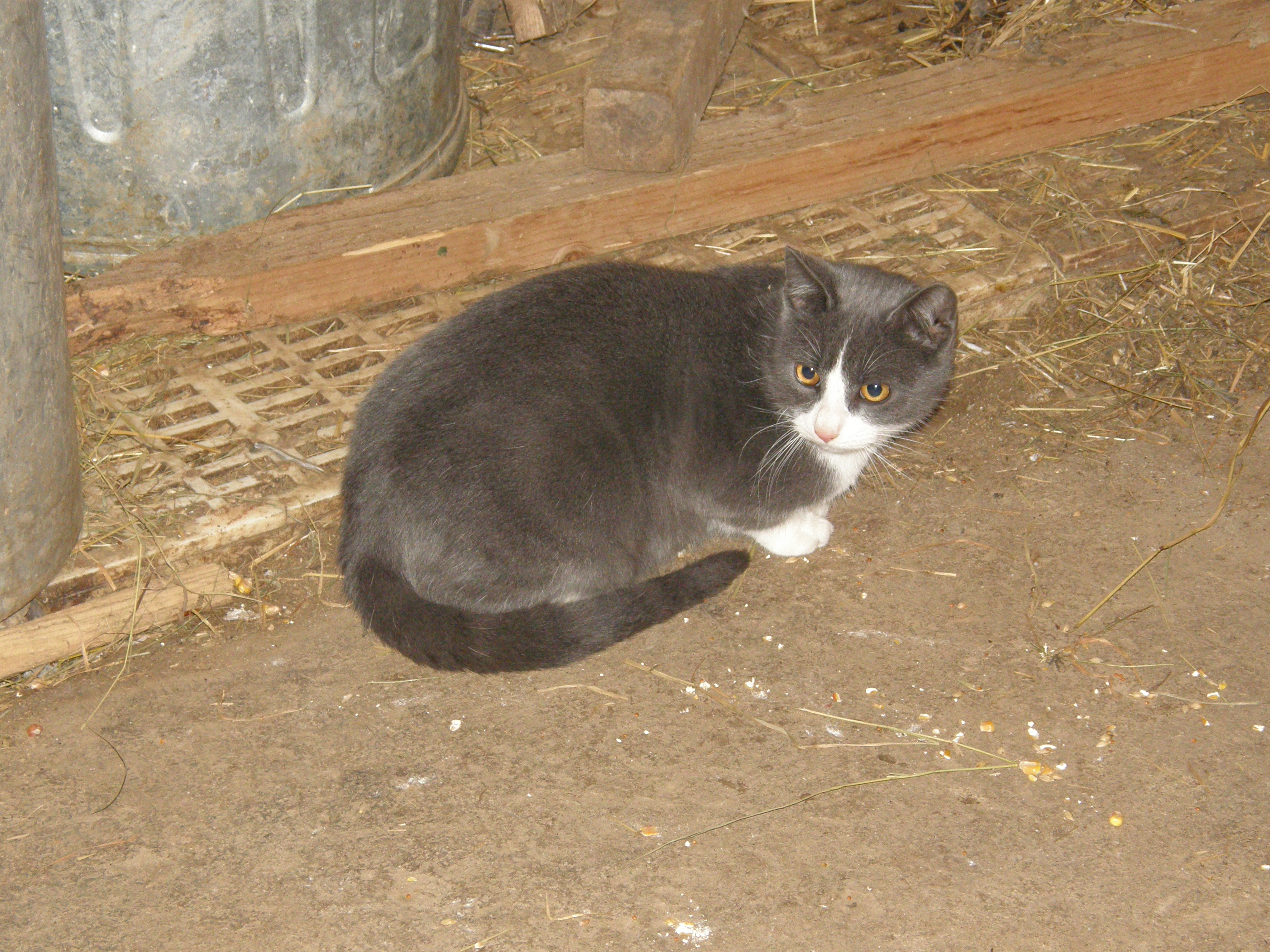 PC240220.JPG