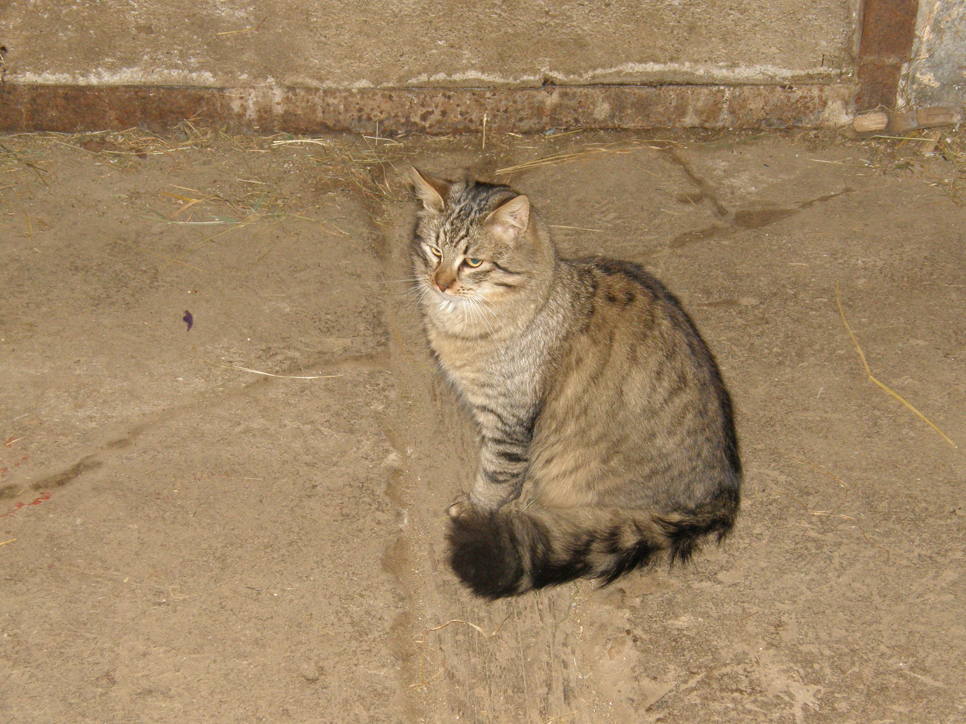 PC240209.JPG